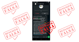 A imagem é um infográfico de alerta contra golpes virtuais. Ela exibe a captura de tela de uma m...
