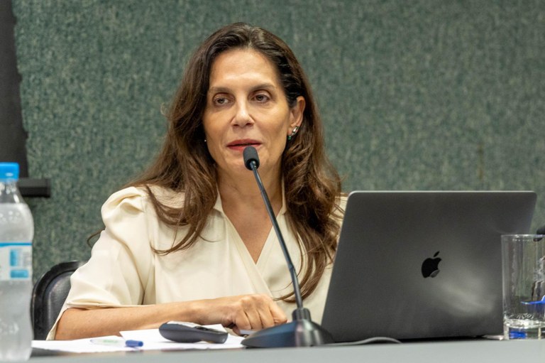 juíza ouvidora substituta do TRE-SP, Maria Domitila Prado Manssur