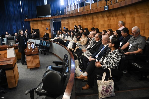Os representantes das Missões de Observação Eleitoral em reunião no plenário do Tribunal