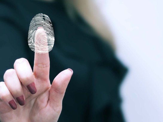 TRE-SC Imprensa Final revisão do eleitorado 2019 Biometria