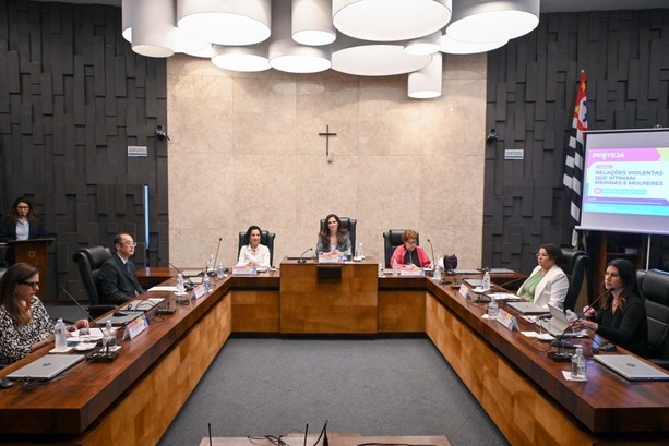 TRE-SP realiza painel “Relações violentas que vitimam meninas e mulheres - TRE-SP TRE-SP realiza painel “Relações violentas que vitimam meninas e mulheres