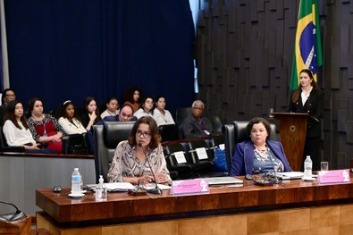 Juíza Maria Domitila Prado Manssur conduz o painel realizado no plenário da Corte