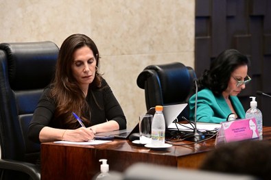 Juíza Maria Domitila Prado Manssur conduz o painel realizado no plenário da Corte