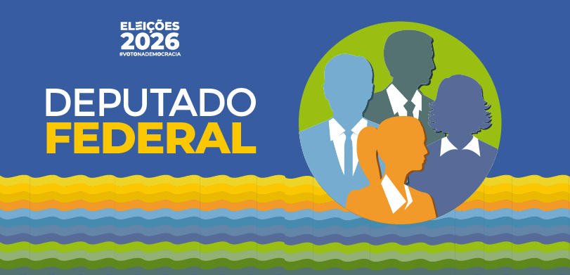 Cargos em disputa nas Eleições 2026: deputado federal