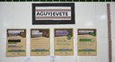 cartazes guarani mbya