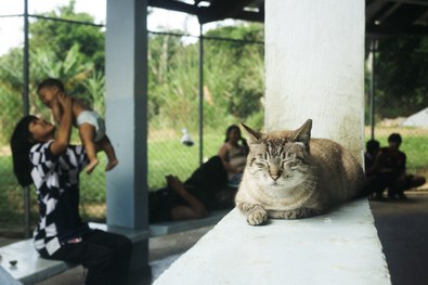 Justiça Eleitoral leva atendimento às aldeias do estado