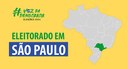 Além da capital, Guarulhos, São Bernardo do Campo, Osasco e Santo André, todas na Região Metropo...
