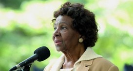 Theodosina Ribeiro Foto: Acervo/Câmara Municipal de São Paulo