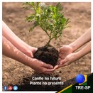 Imagem do post na página oficial do TRE-SP do Facebook - 11/11/2018 - Sustentabilidade 