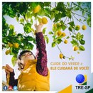 Imagem do post na página oficial do TRE-SP do Facebook - 14/07/2018 - Sustentabilidade 