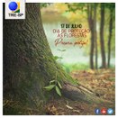 Imagem do post na página oficial do TRE-SP do Facebook - 17/07/2019 - Dia de Proteção às Florestas