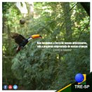 Imagem do post na página oficial do TRE-SP do Facebook - 19/01/2019 - Sustentabilidade 