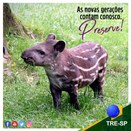 Imagem do post na página oficial do TRE-SP do Facebook - 20/07/2019 - Preserve o Meio Ambiente