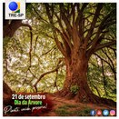 Imagem do post na página oficial do TRE-SP do Facebook - 21/09/2019 - Dia da Árvore