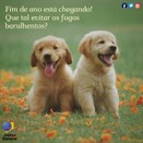 Imagem do post na página oficial do TRE-SP do Facebook - 22/12/2019 - Sustentabilidade