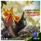 Imagem do post na página oficial do TRE-SP do Facebook - 23/06/2018 - Sustentabilidade
