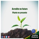 Imagem do post na página oficial do TRE-SP do Facebook - 24/11/2019 - Sustentabilidade
