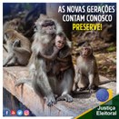 Imagem do post na página oficial do TRE-SP do Facebook - 26/01/2020 - Sustentabilidade